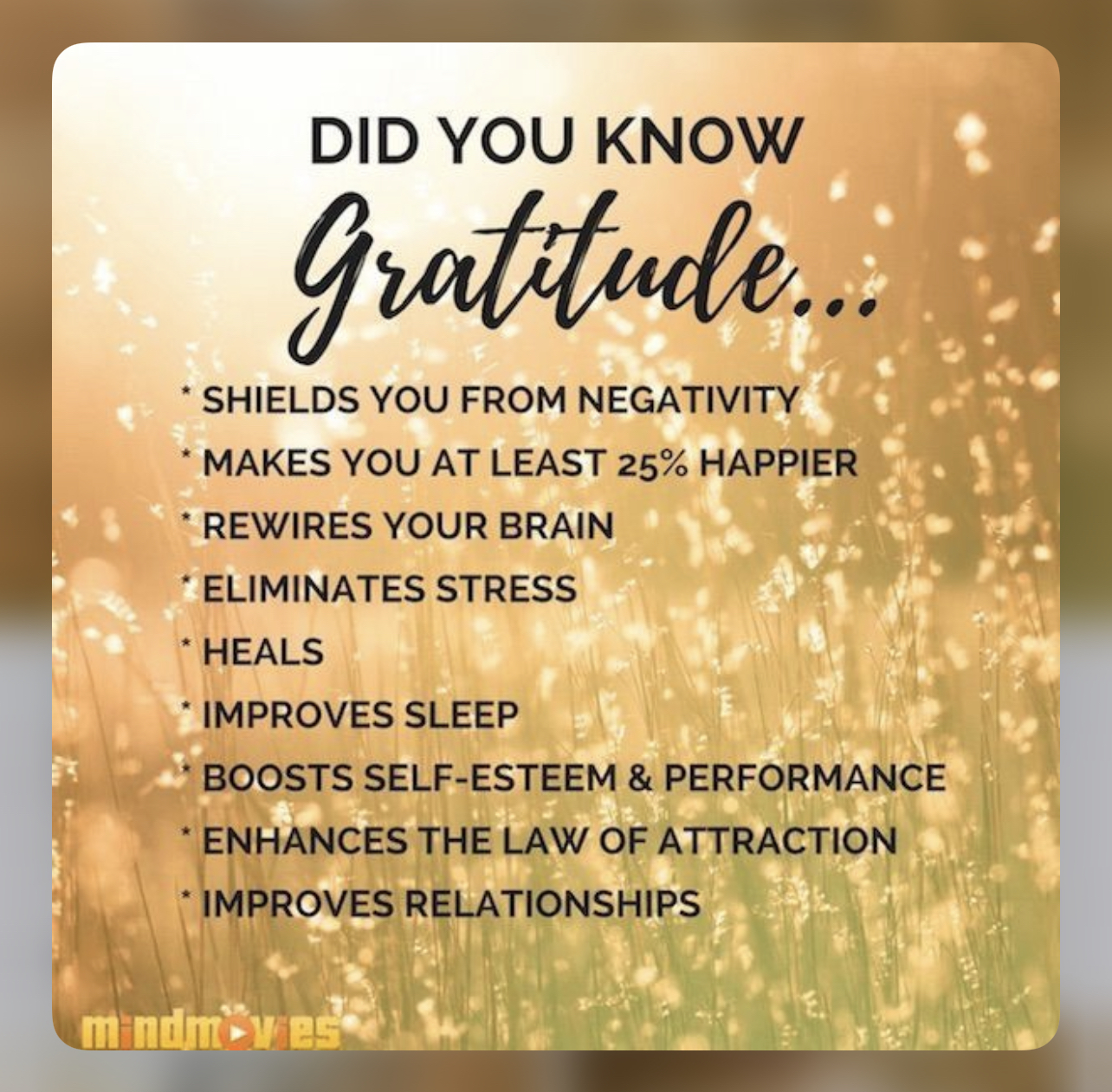 Moving in Gratitude
