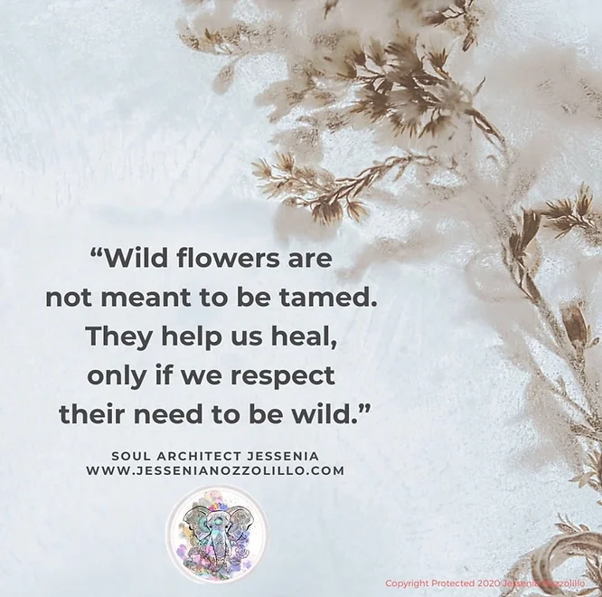 Love, risk, faith, lack