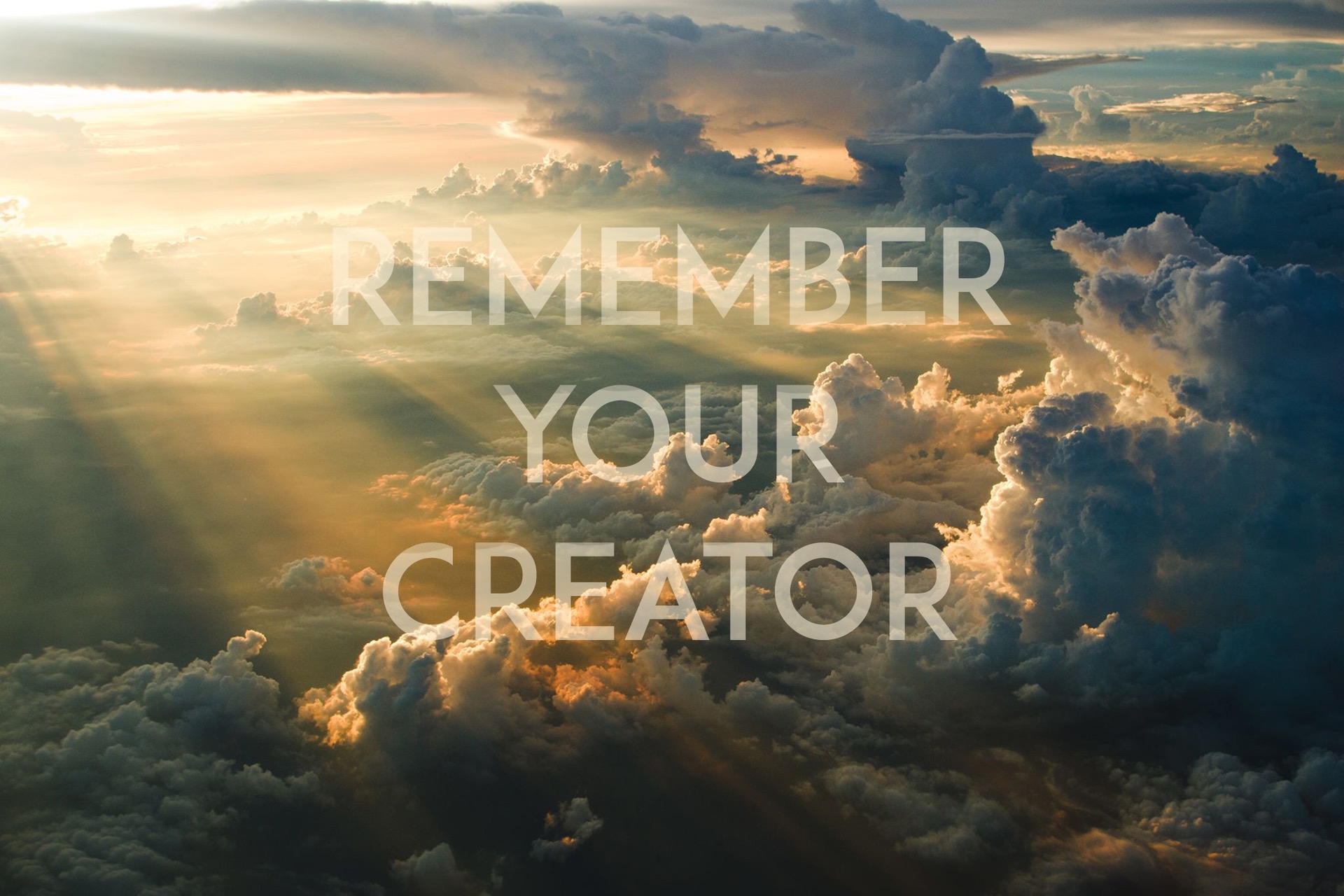 Creator