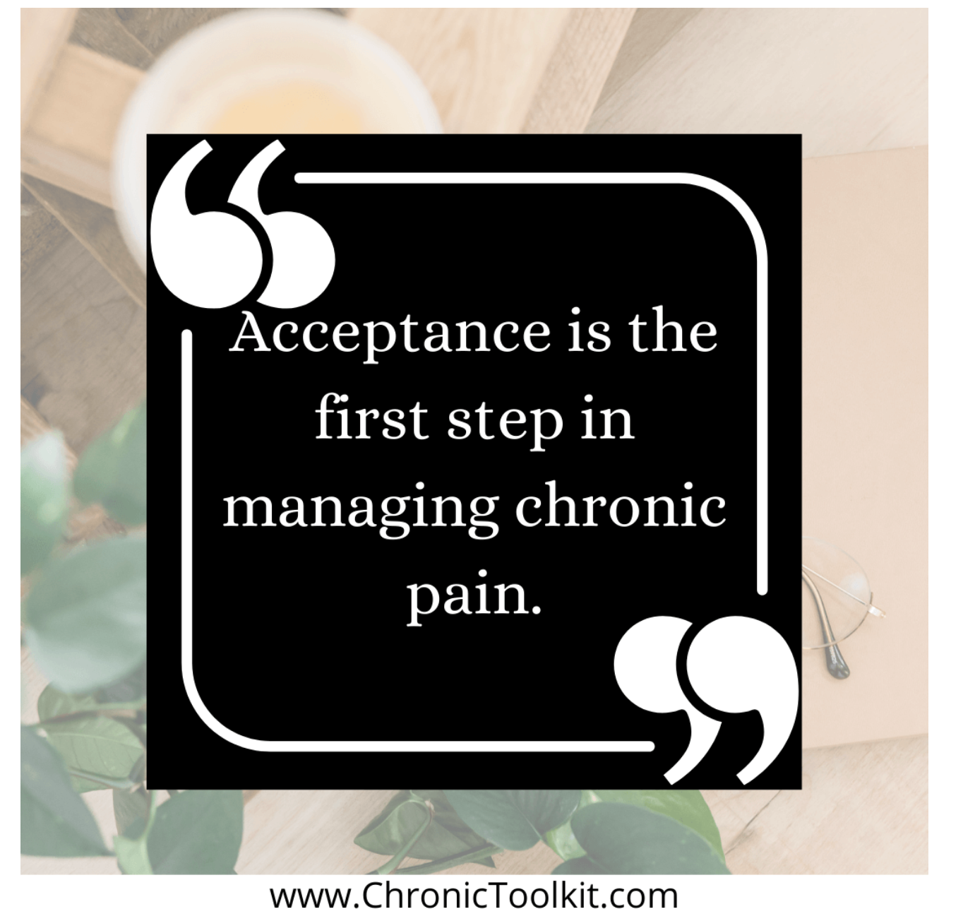 ChronicToolkit2 ChronicToolkit2