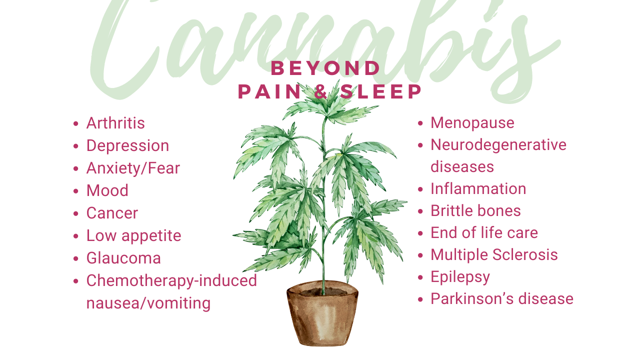 What Does Sugar Do What Does Sugar Do