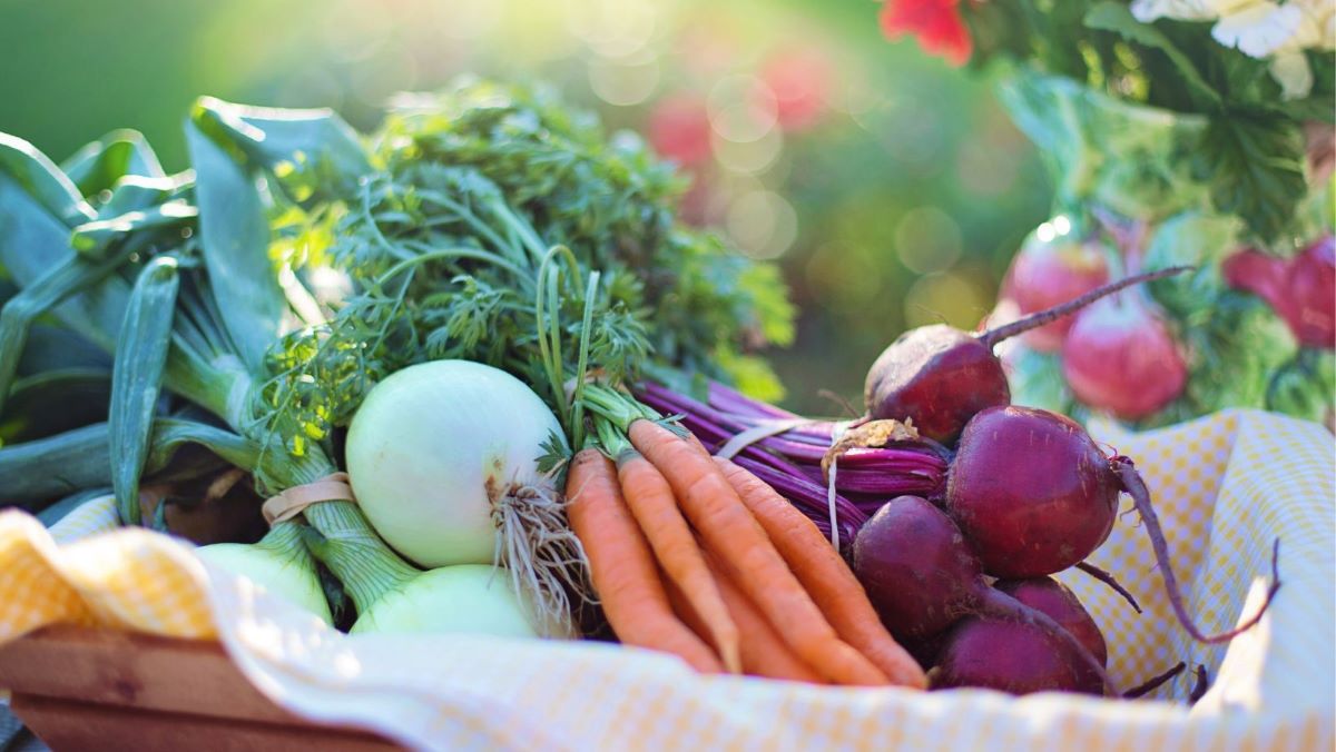 various healthy vegetables