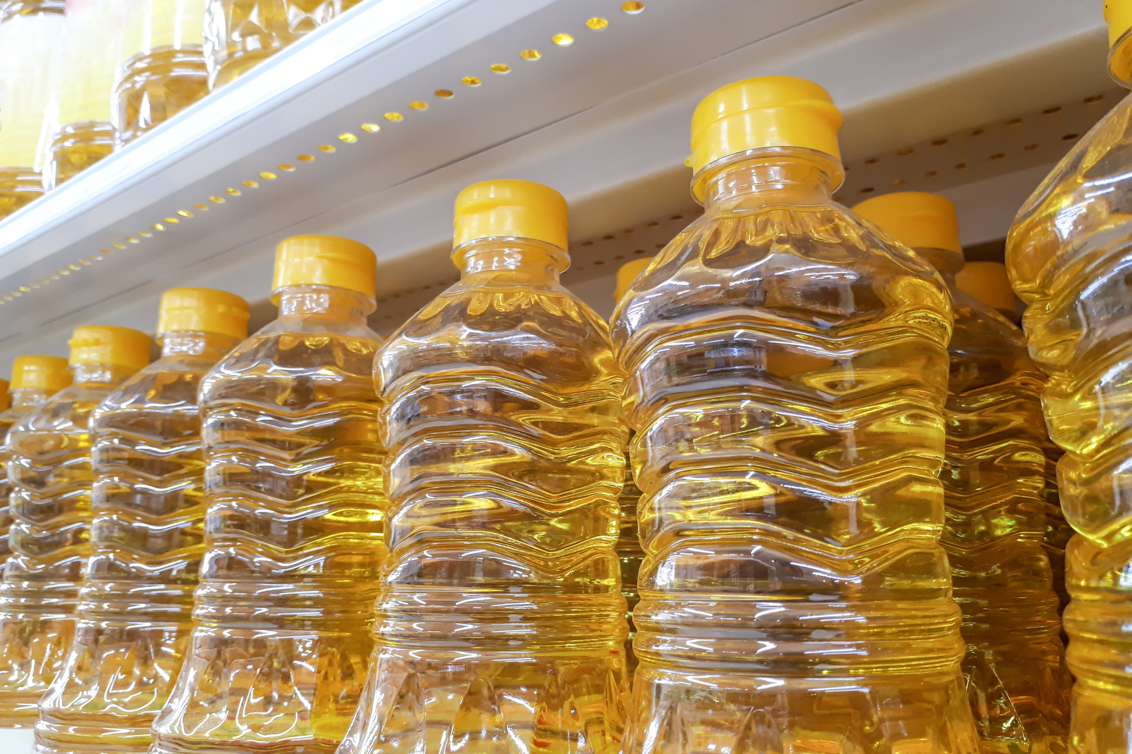 Close-up of multiple plastic bottles filled with refined vegetable oil, representing industrial seed oils commonly found in processed foods and linked to inflammation and metabolic dysfunction. Close-up of multiple plastic bottles filled with refined vegetable oil, representing industrial seed oils commonly found in processed foods and linked to inflammation and metabolic dysfunction.