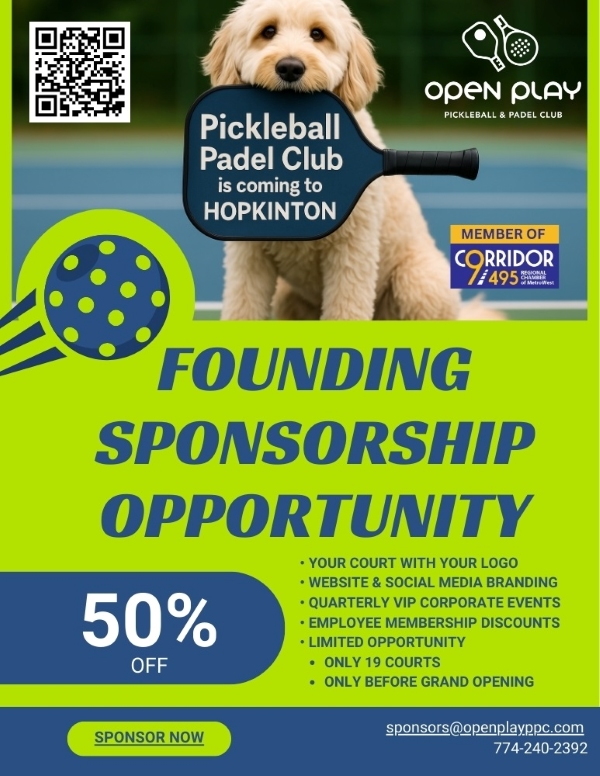 founding sponsorship flyer