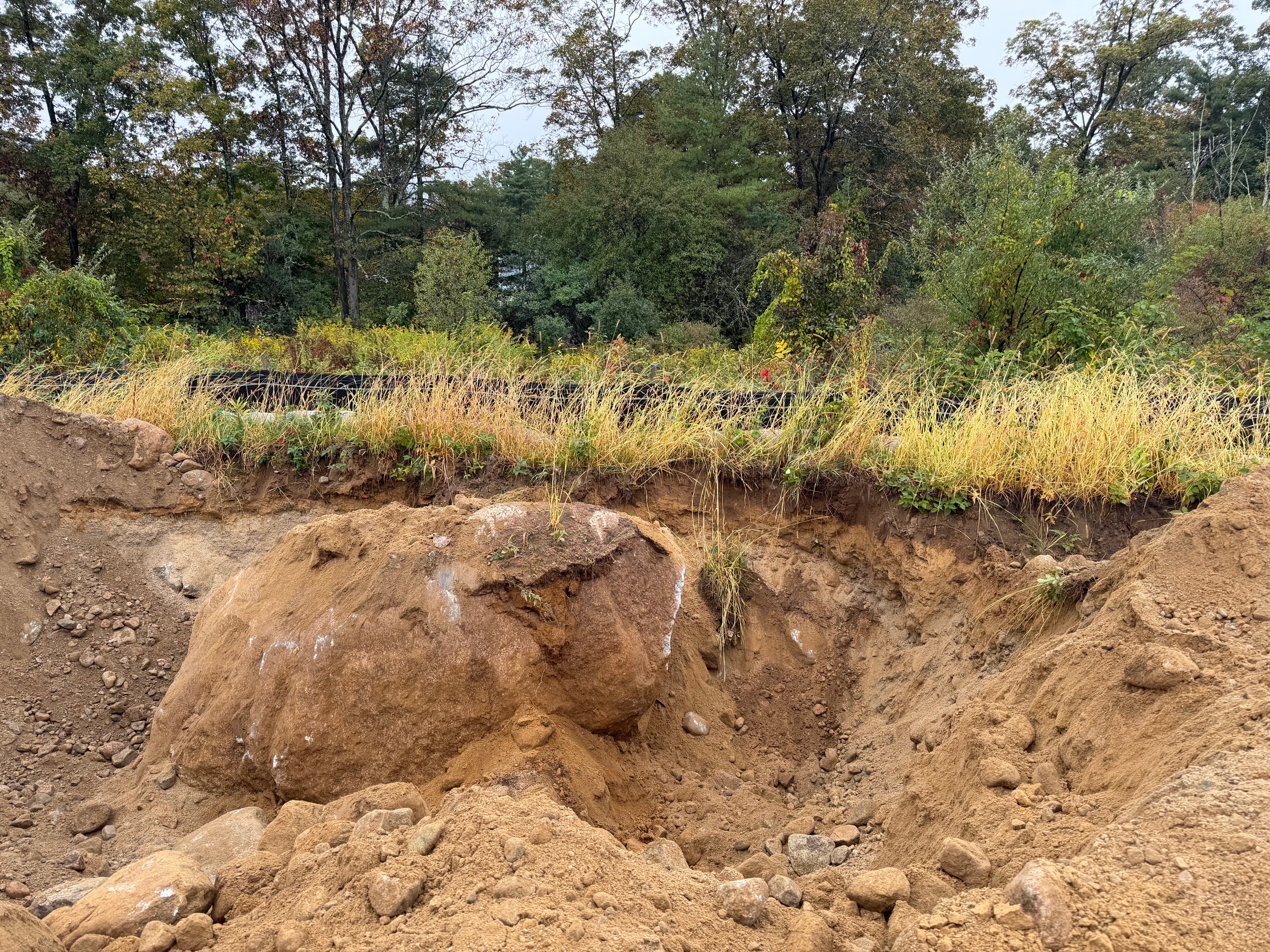 SUV size boulder SUV size boulder