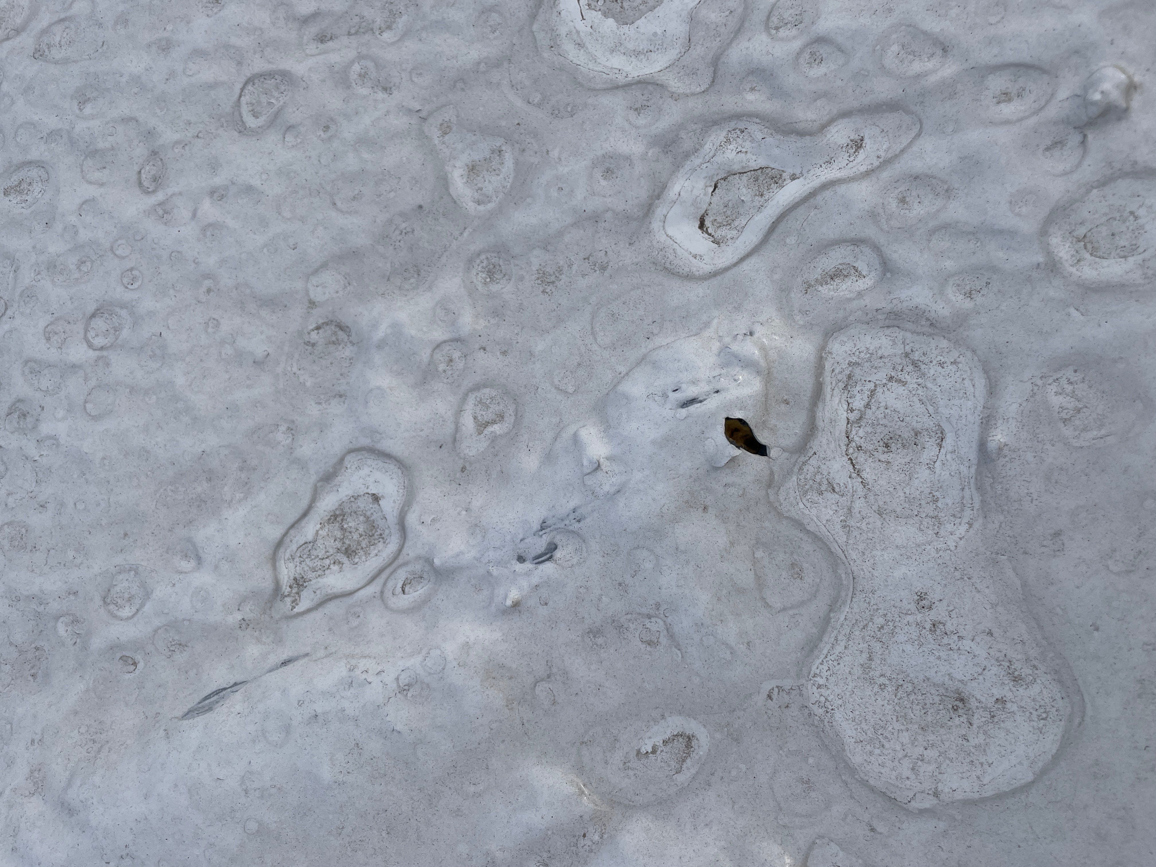 Coating Failure on Foam Roof