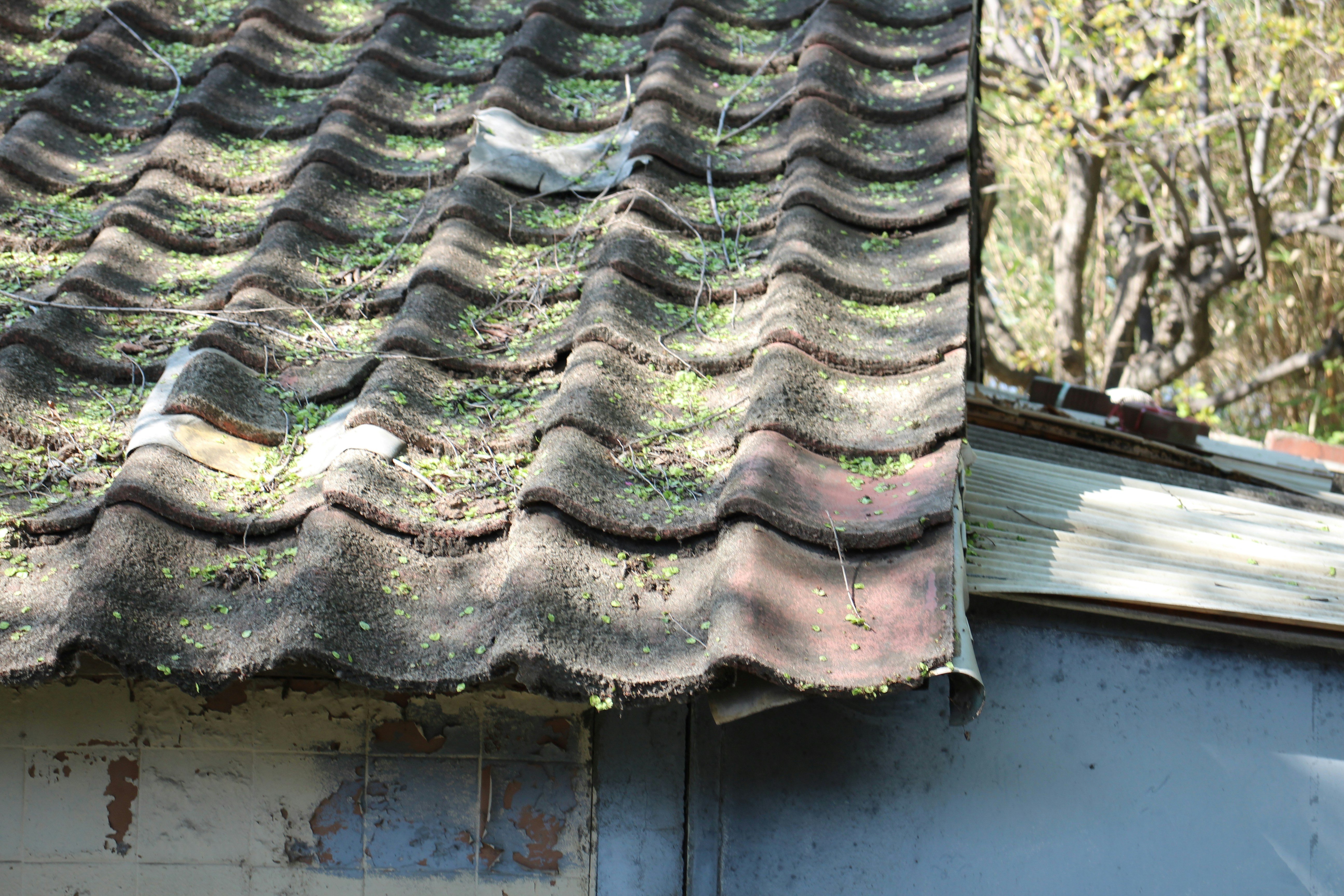 he hidden dangers of ignoring small home repairs: How minor issues like leaks, cracks, loose railings, peeling paint, and flooring damage can escalate into costly problems. he hidden dangers of ignoring small home repairs: How minor issues like leaks, cracks, loose railings, peeling paint, and flooring damage can escalate into costly problems.