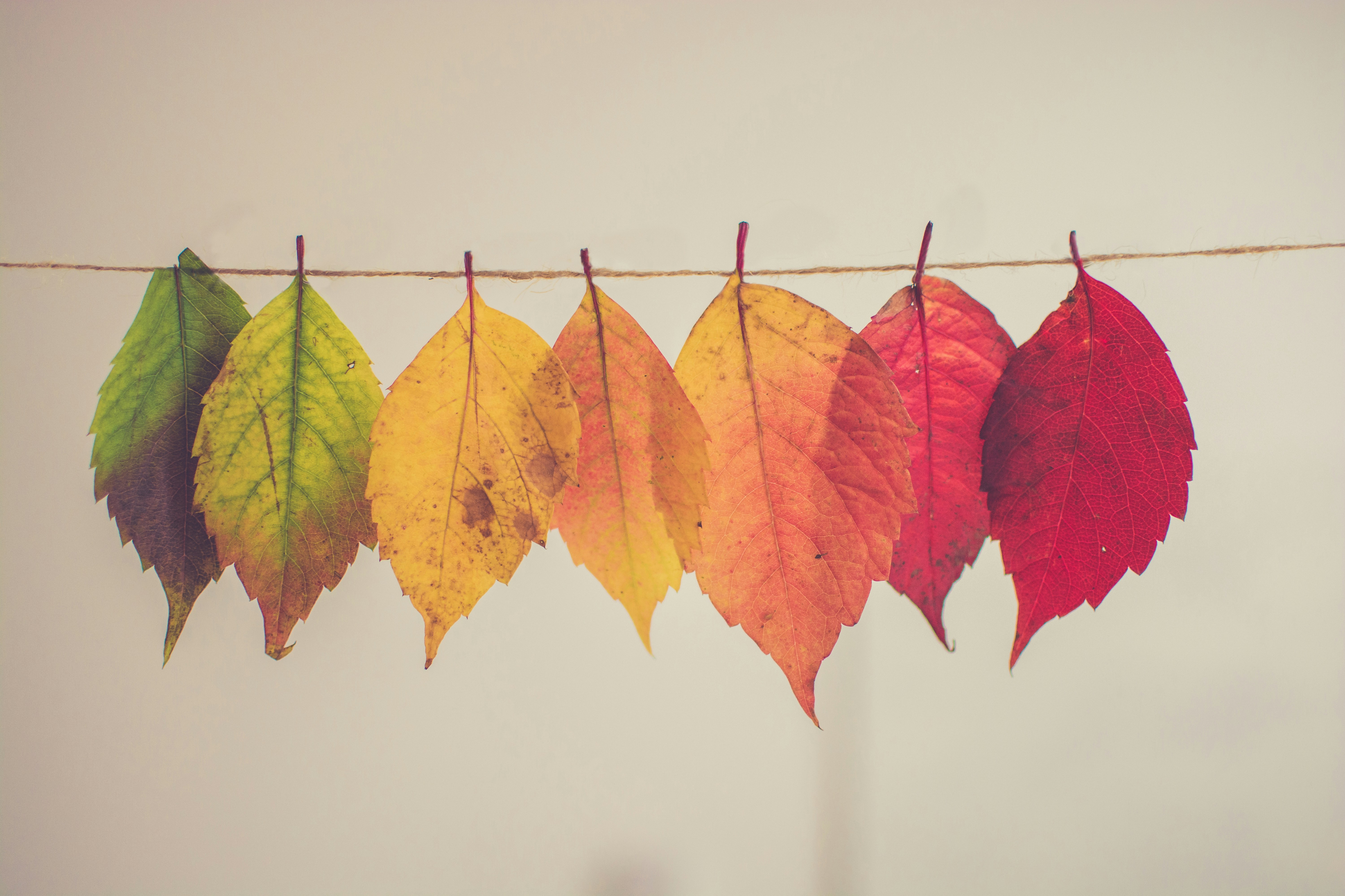Seasonal home maintenance guide: Preparing for winter, summer, spring, and fall with essential home repairs and handyman services. Seasonal home maintenance guide: Preparing for winter, summer, spring, and fall with essential home repairs and handyman services.