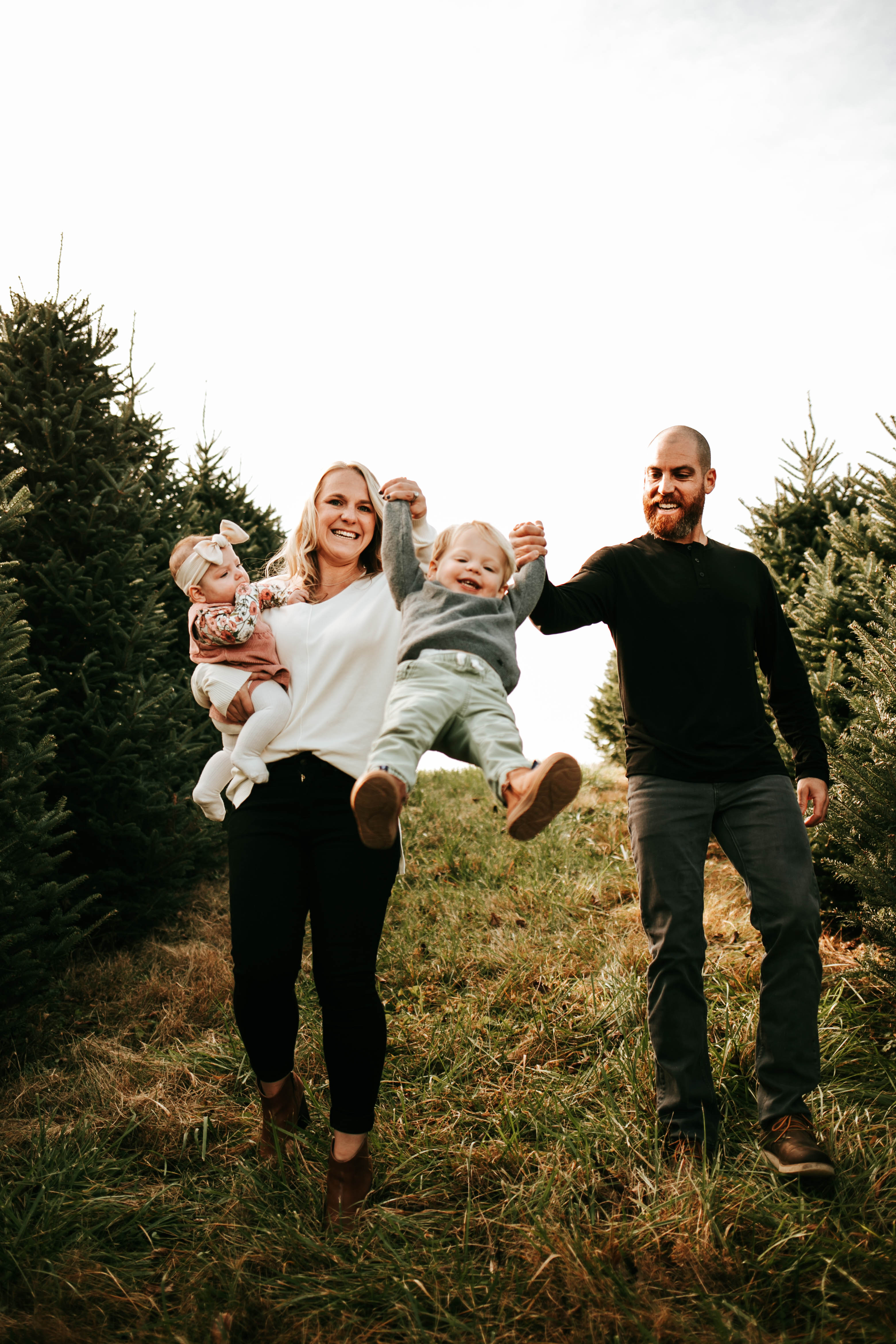 christmas-tree-farm-suffolk