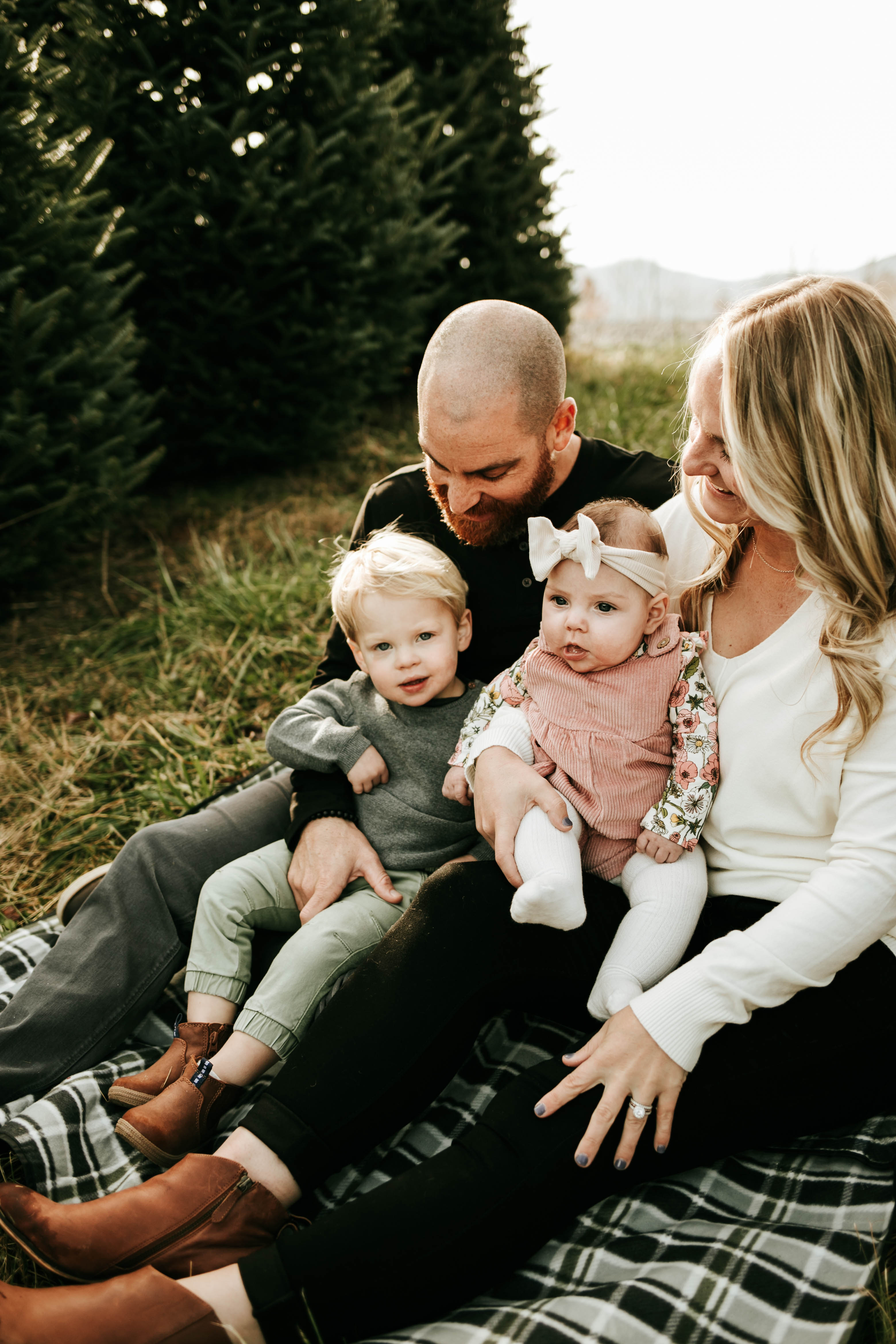 Christmas-tree-farm-photoshoot