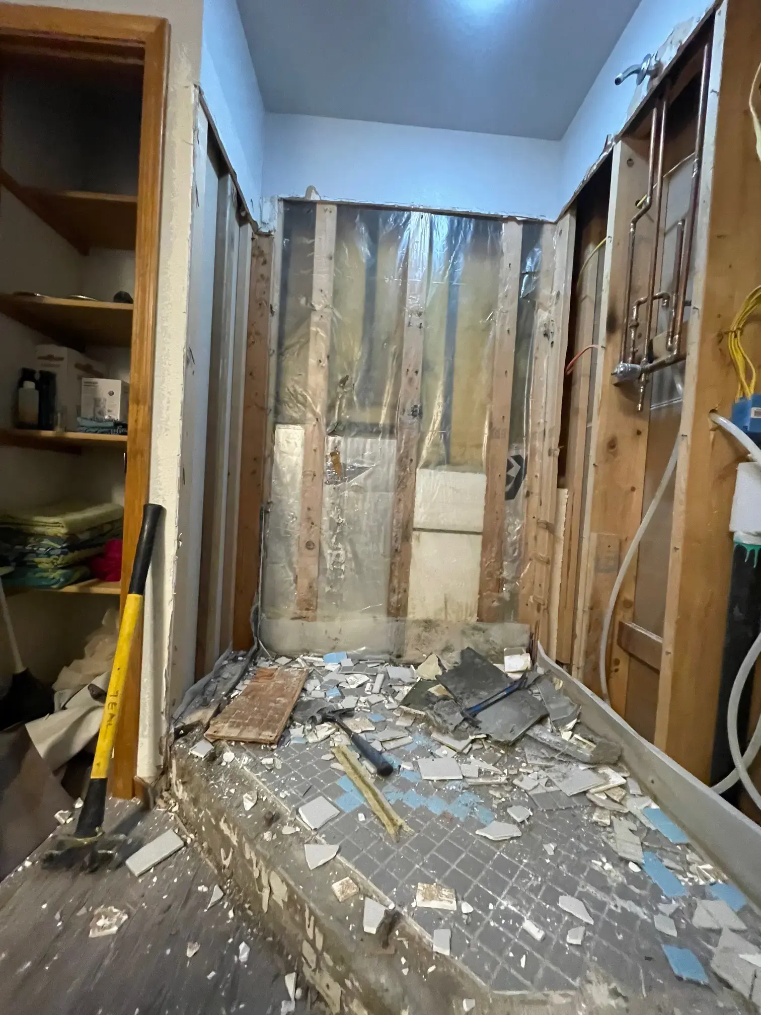 Shower Demo - Cleaning Phase