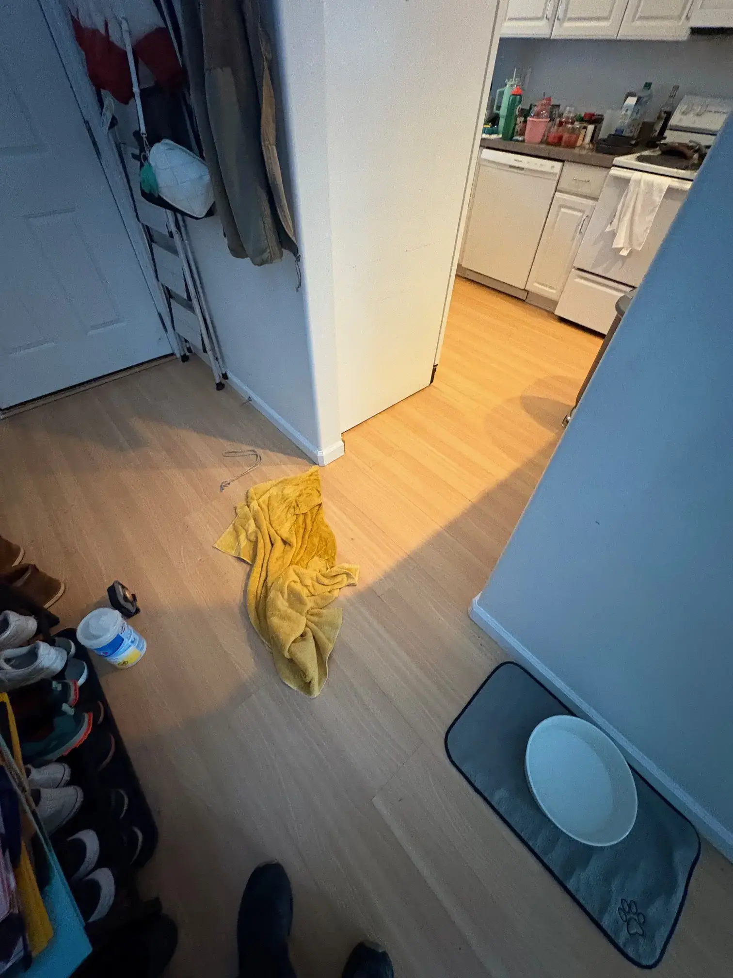 Flooded Floor - Before Emergency Response