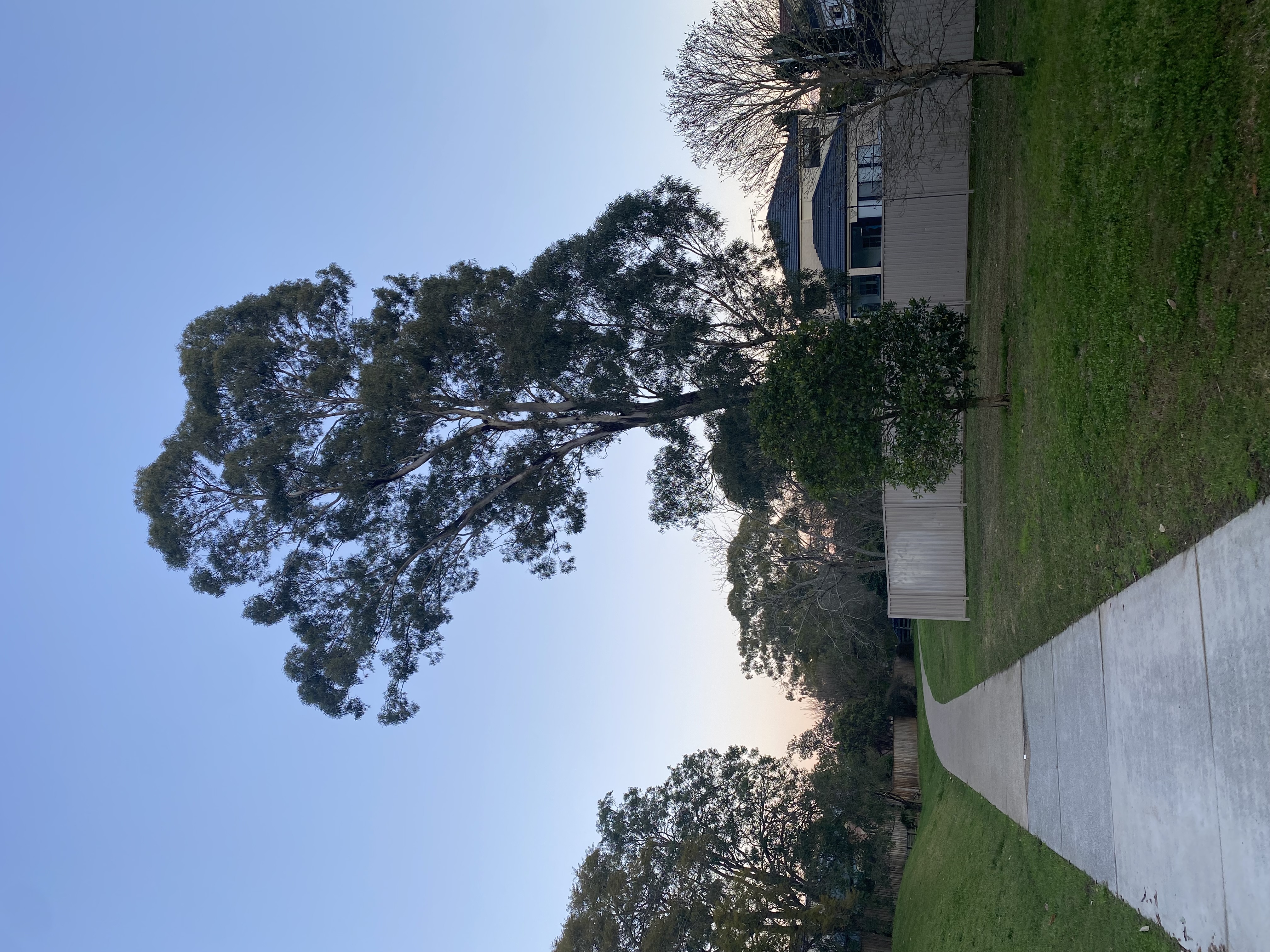 The lesson I didn’t expect from a 5-minute walk