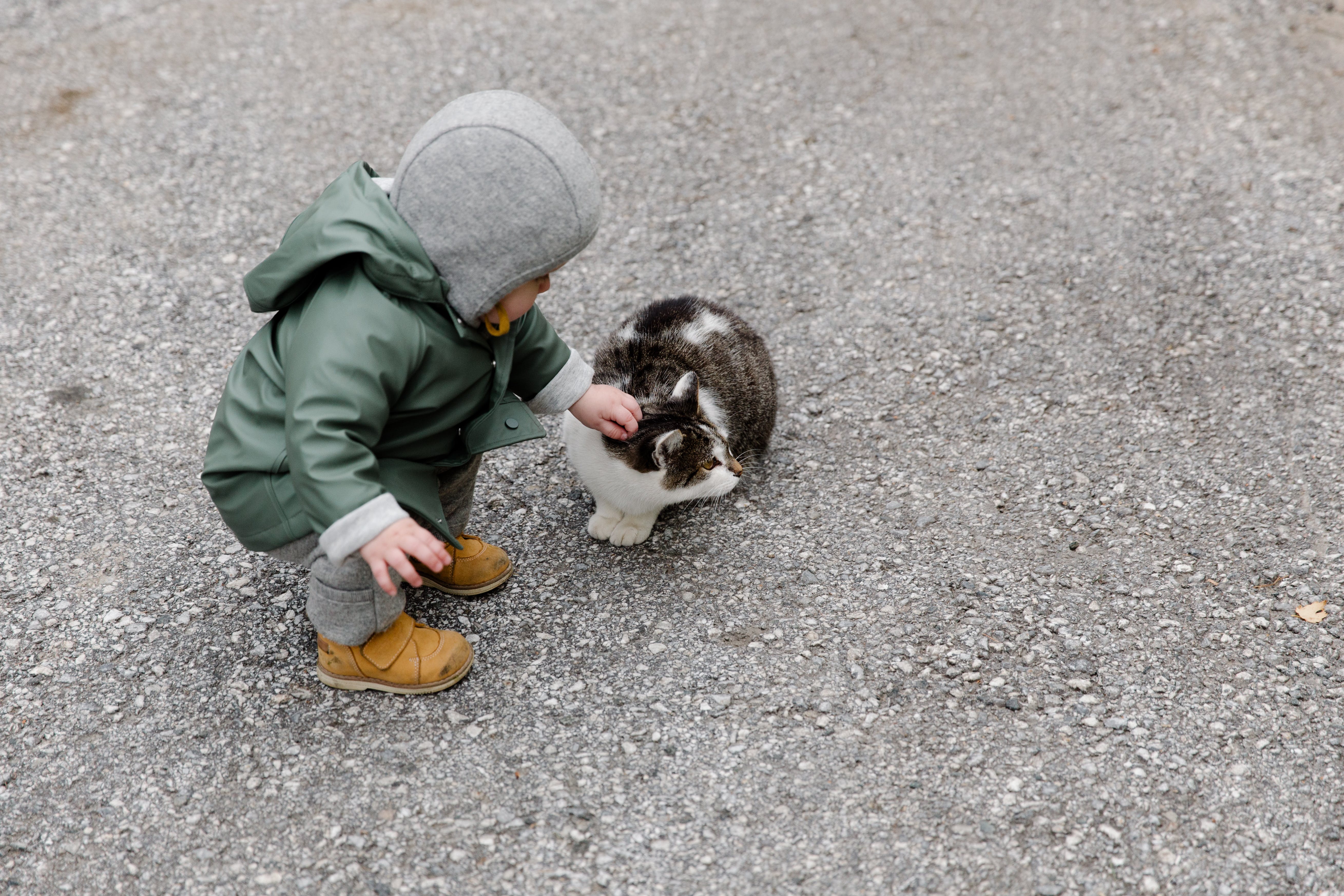 TODDLER BEING GENTLE WITH CAT