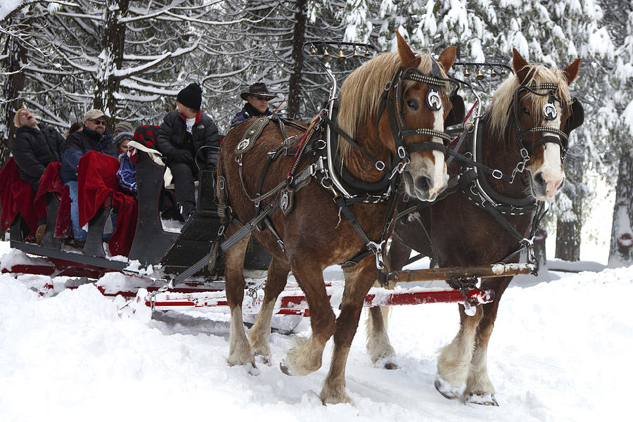Covid Christmas illustration representing happiness in a blog by Jennifer Elizabeth Masters.