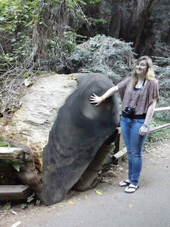 Jennifer Elizabeth Masters