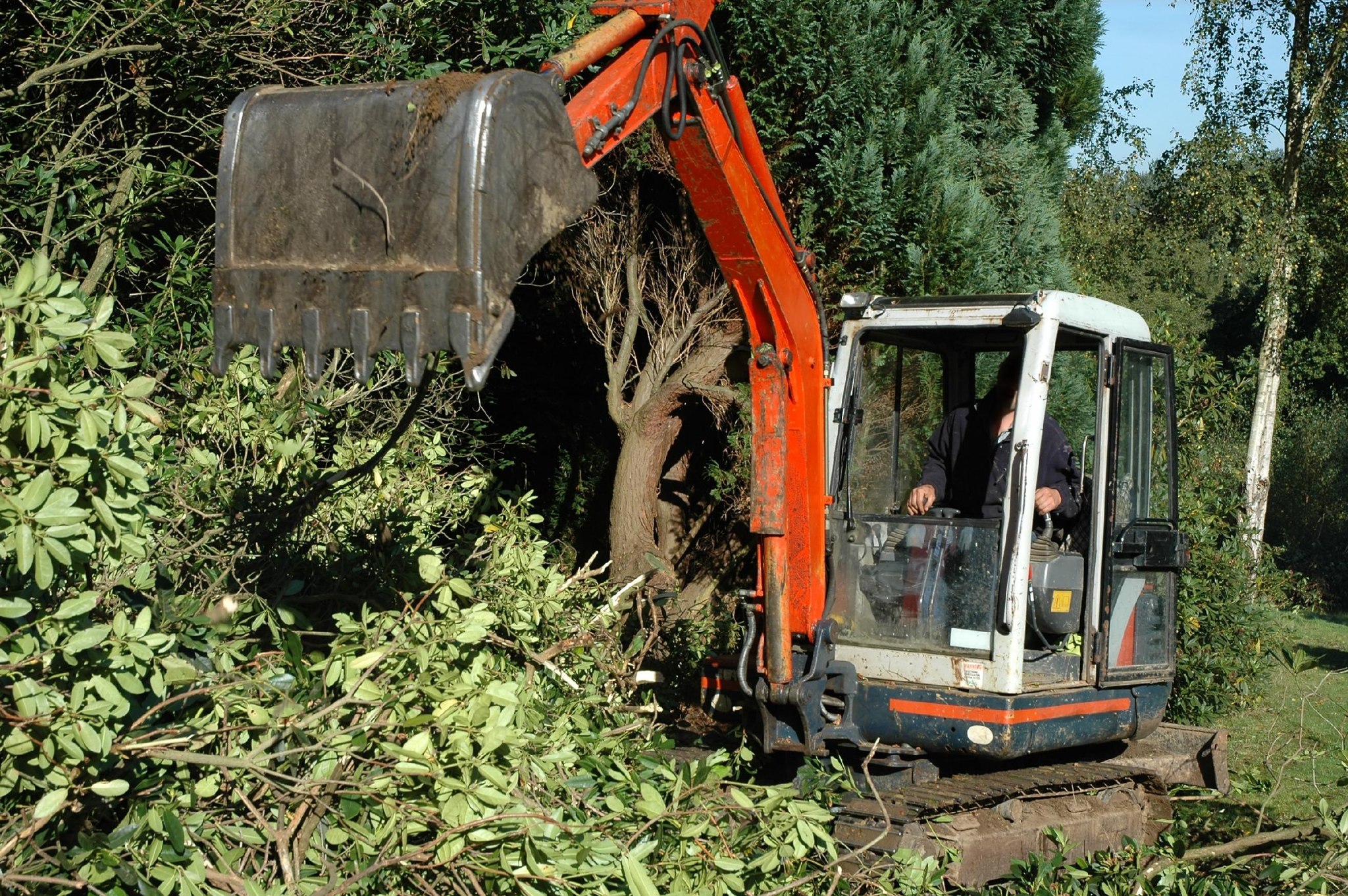 tree work