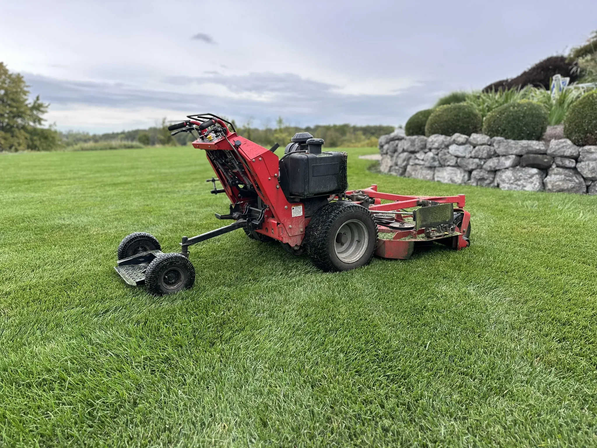 Rochester weekly grass cutting lawn freshly striped after service