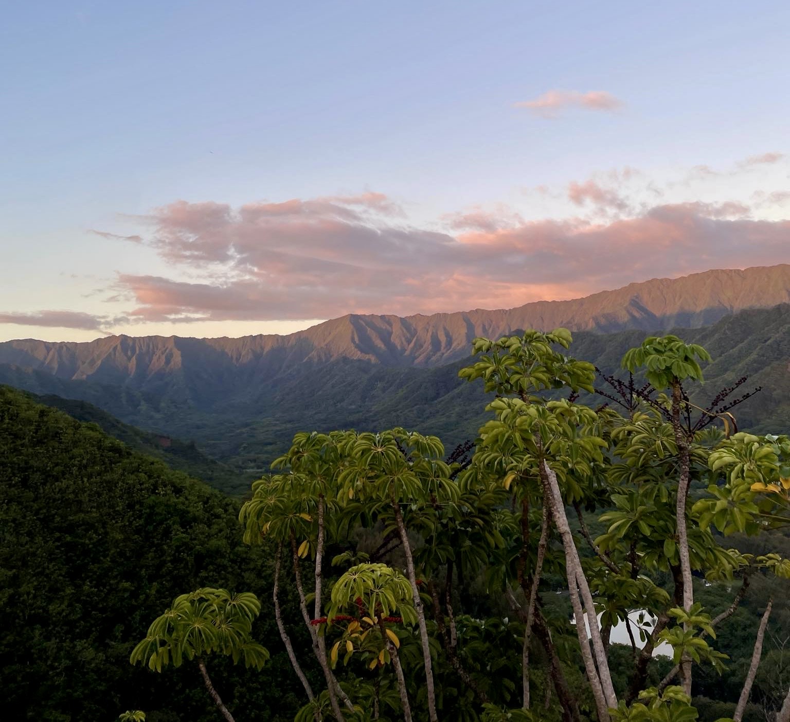 mountain hawaii