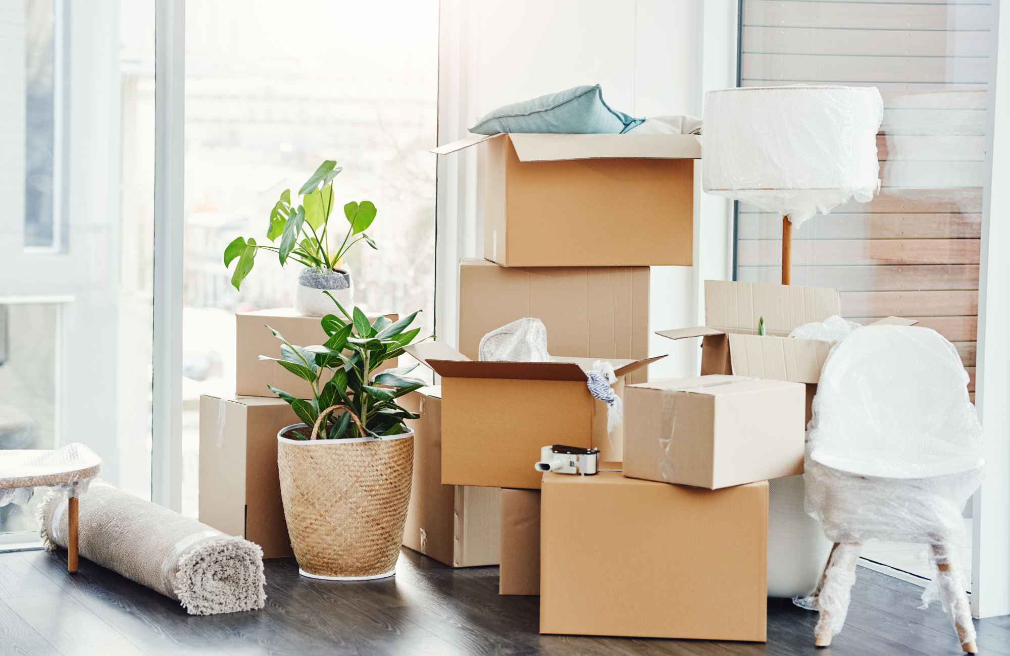 Moving Made Manageable: Our Signature Trifecta Services