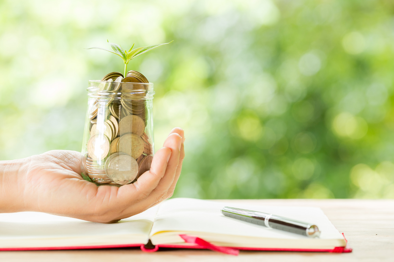 Hand holding plant growing from coins bottle Hand holding plant growing from coins bottle