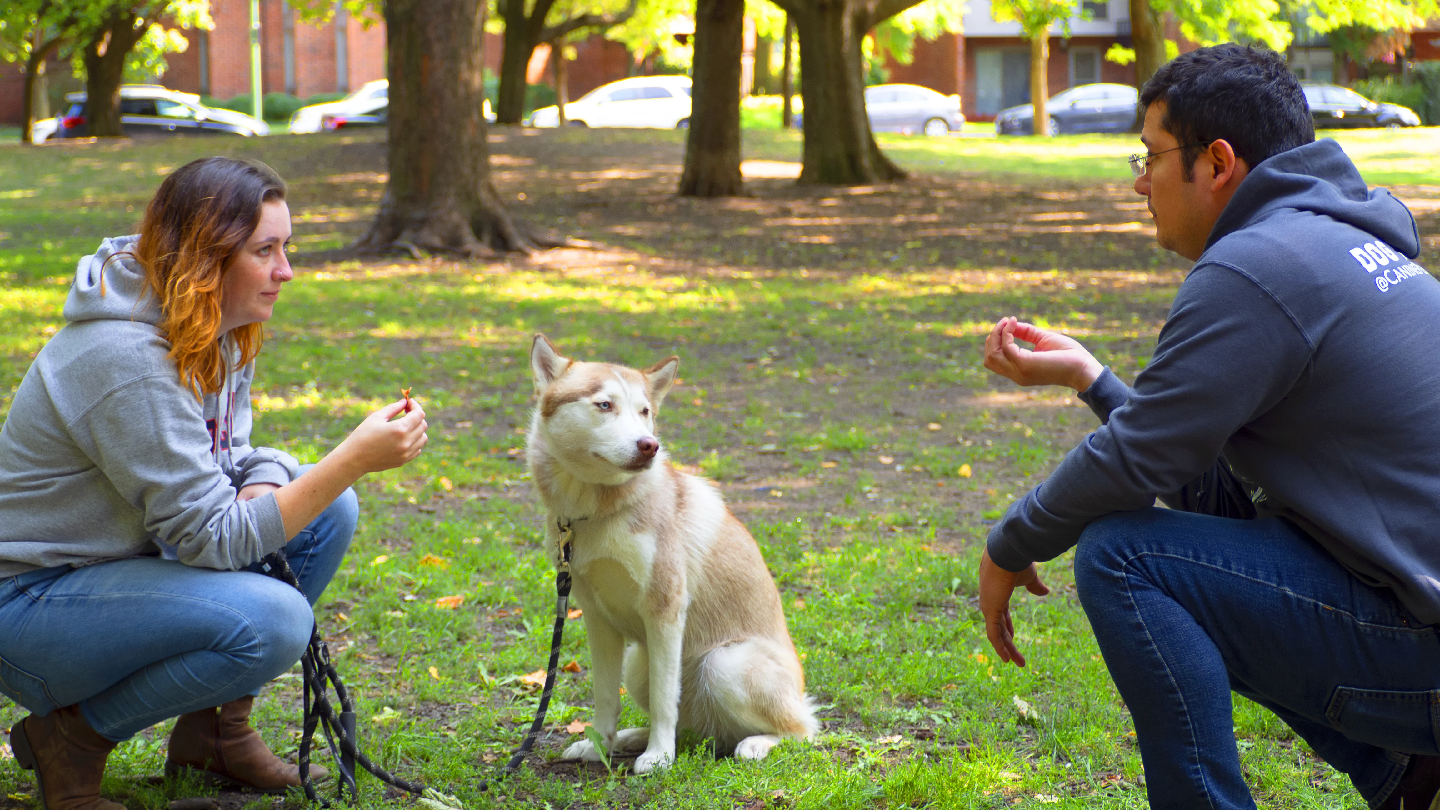 a dog sitting on the field with Elizabeth and Jesse