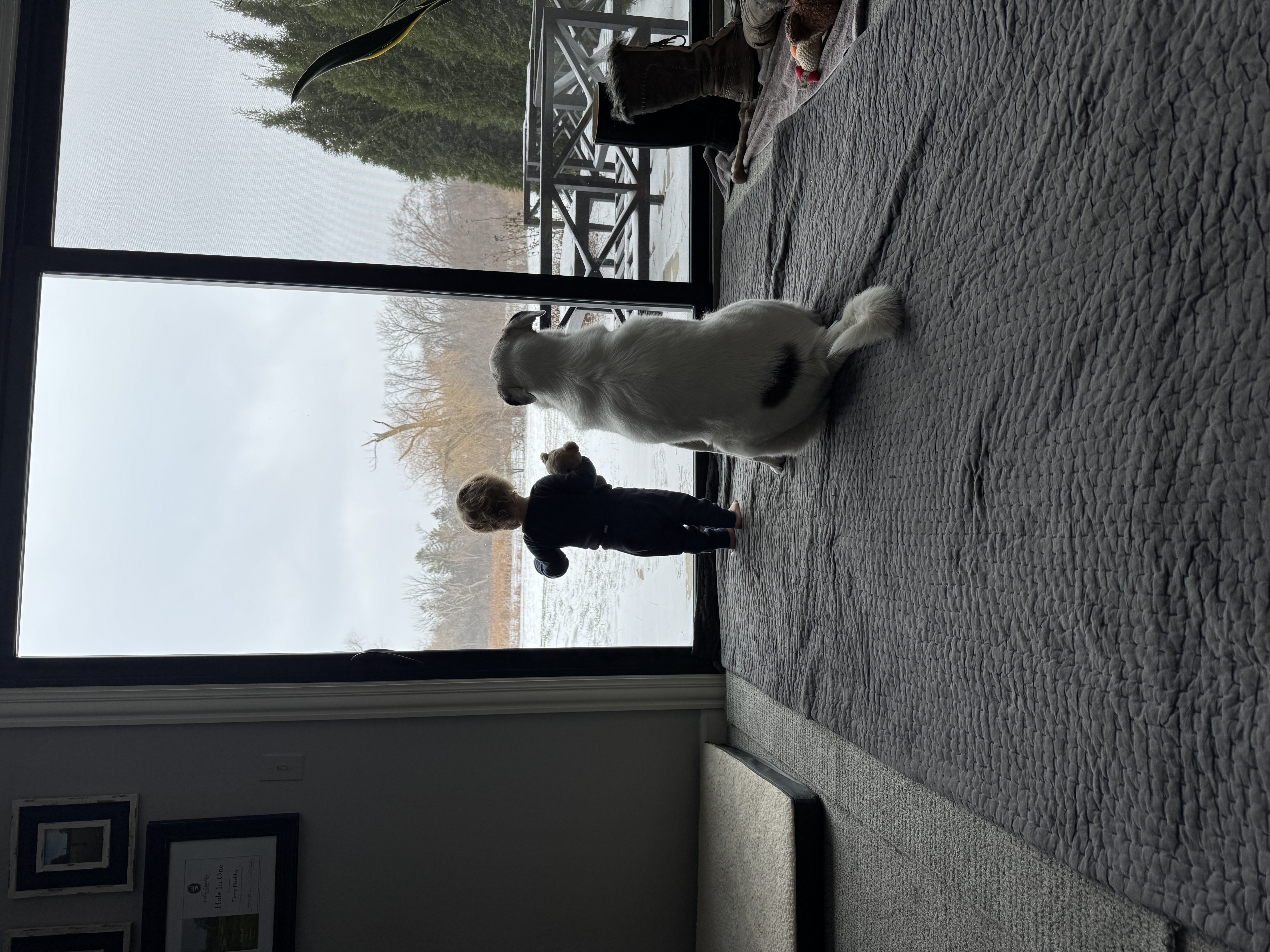 a little baby and a dog