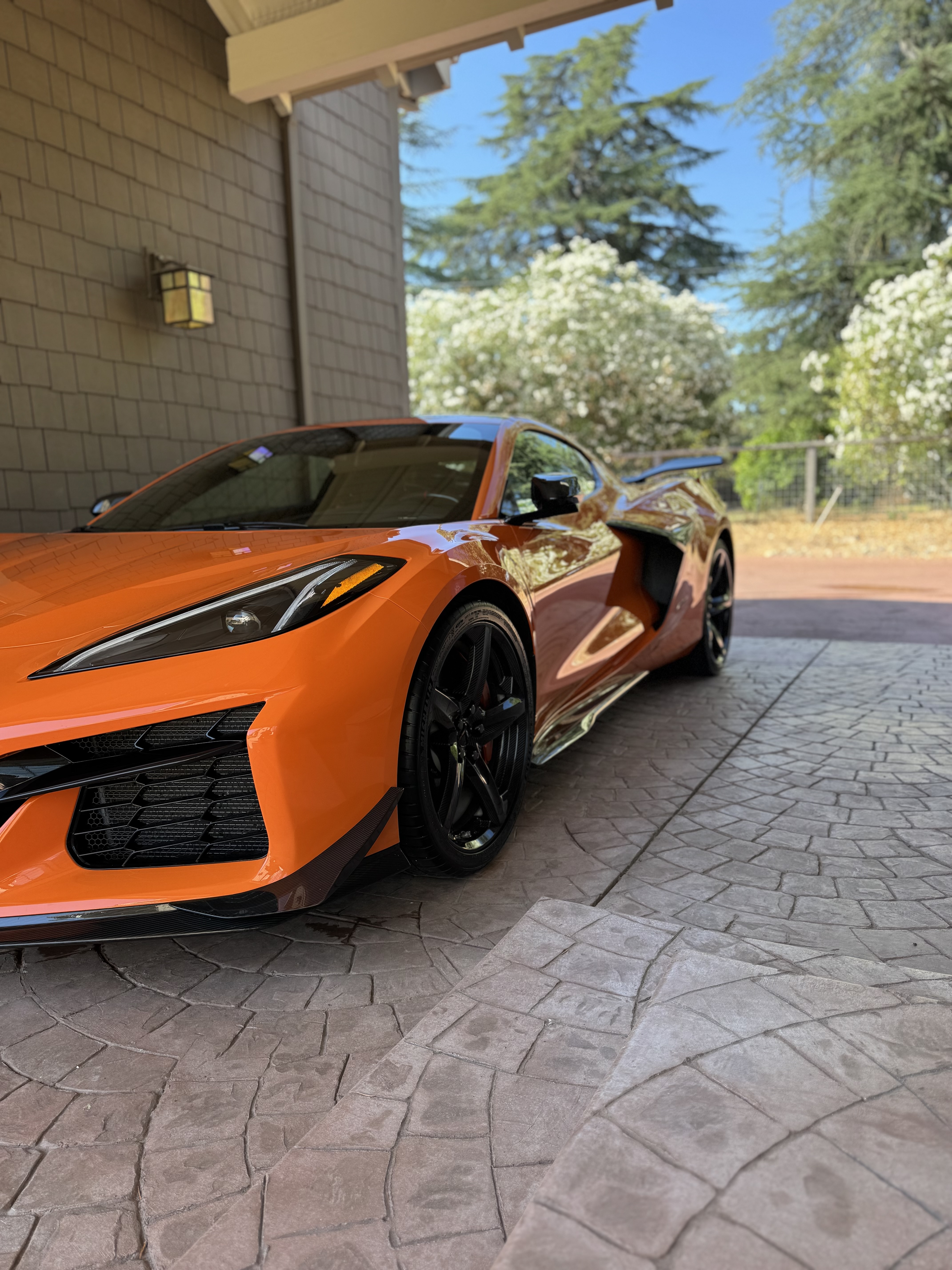 Finished detailing result