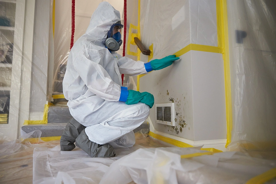 Kitchen Renovator