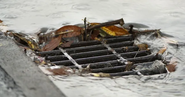 leaves storm drain