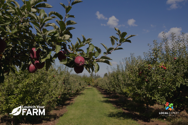 The Farming Food Chain - Why Farming Is the Future of Real Estate The Farming Food Chain - Why Farming Is the Future of Real Estate