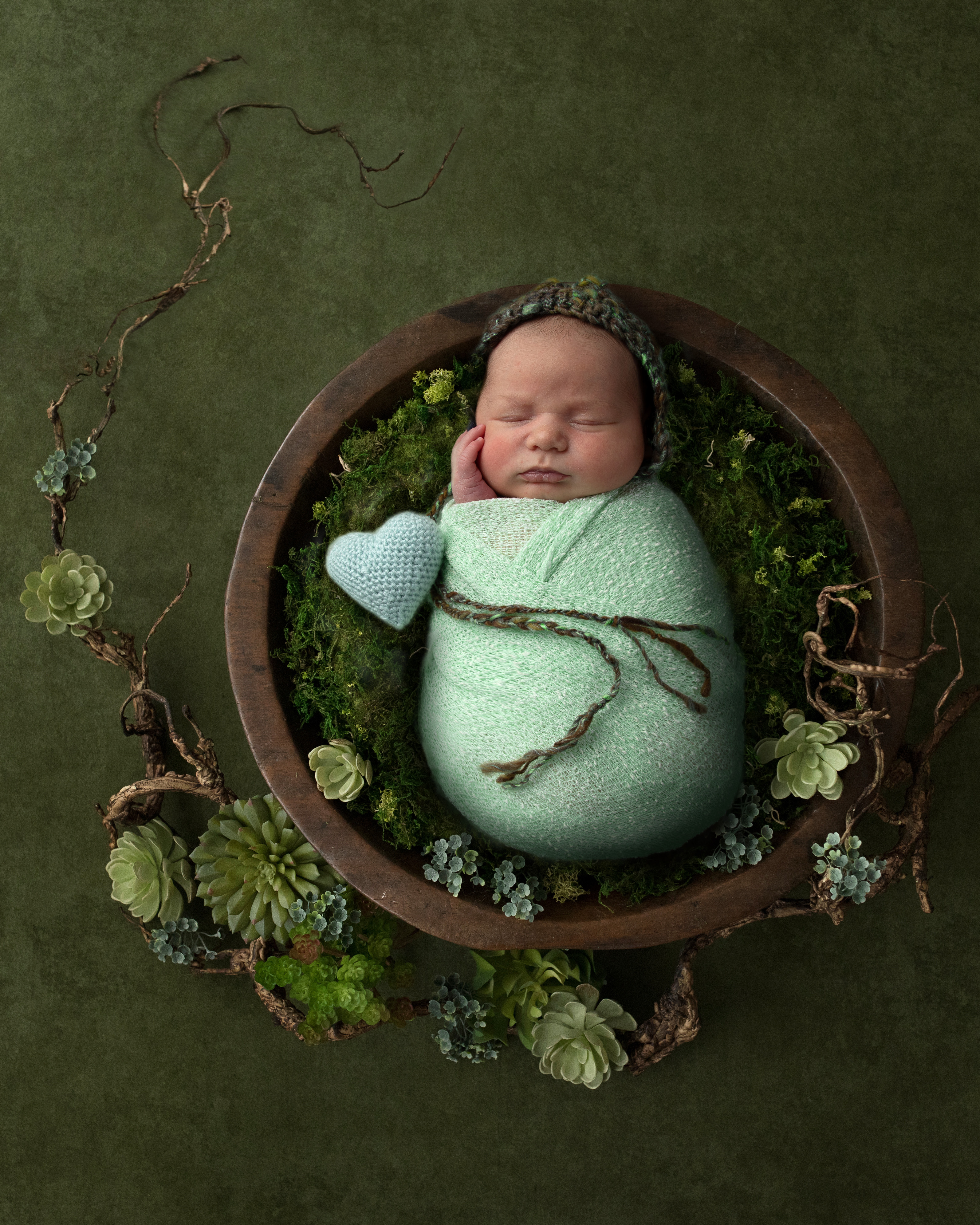 Newborn baby boy wrapped in pale green laying in a basket of green moss surrounded by a curled branch with succulents attached