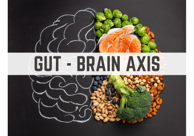 gut brain axis gut brain axis