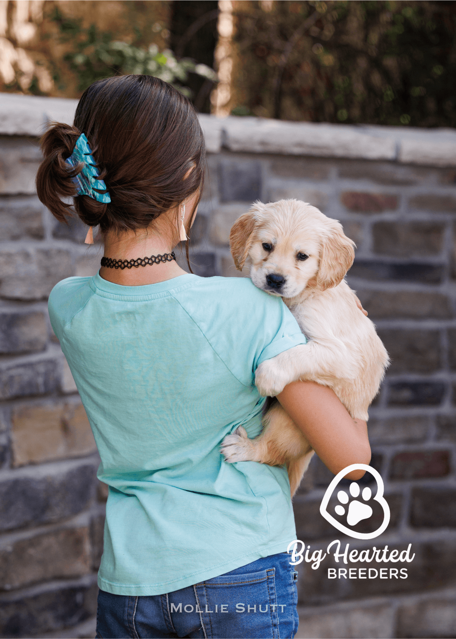 health-testing-a-guide-for-responsible-breeding-of-mini-golden-retrievers health-testing-a-guide-for-responsible-breeding-of-mini-golden-retrievers