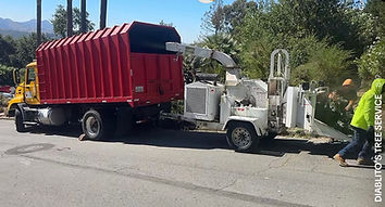 Tree Service Portfolio Image 1