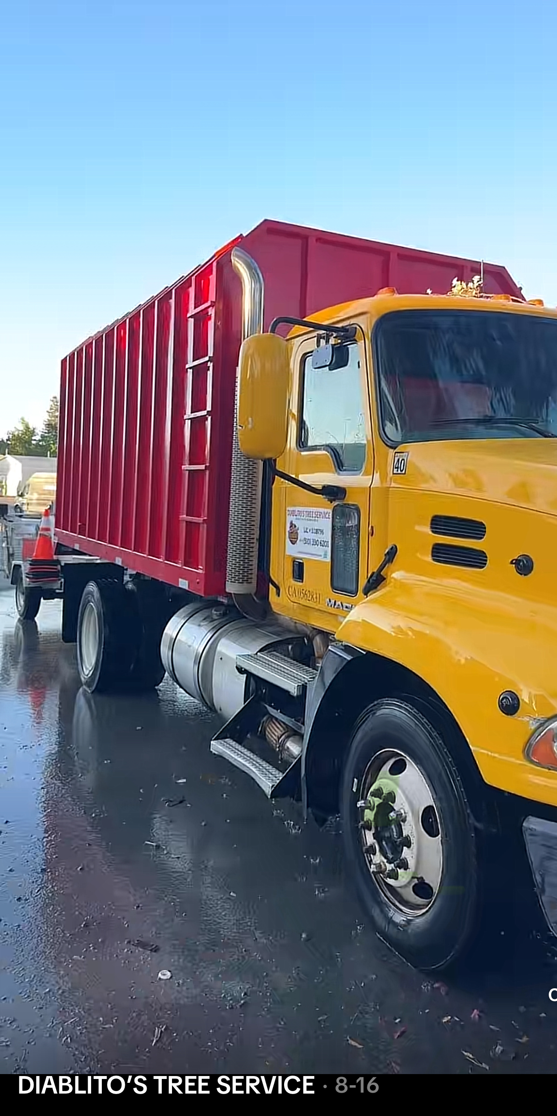 Tree Service Portfolio Image 4