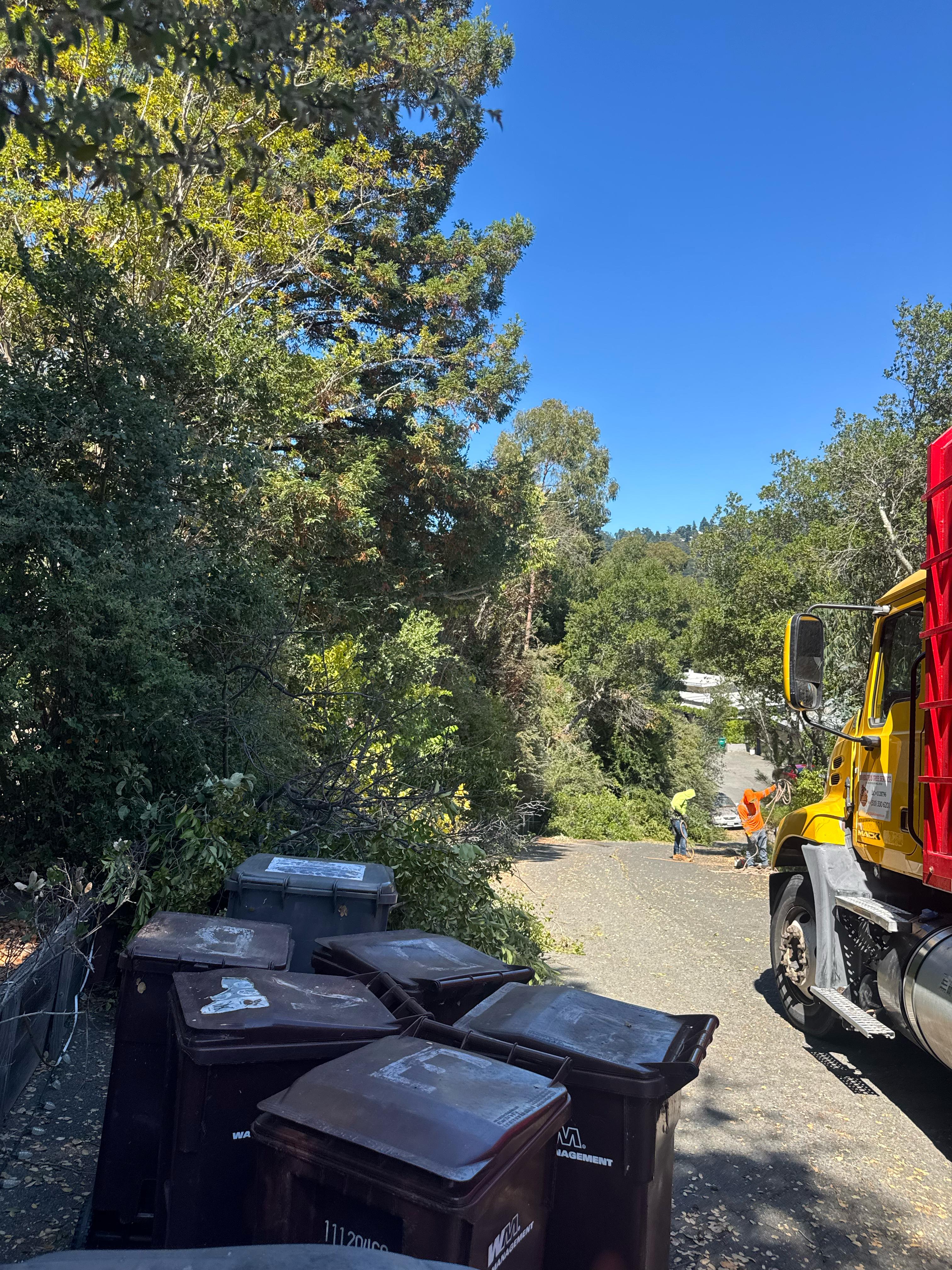 Tree Service Portfolio Image 18