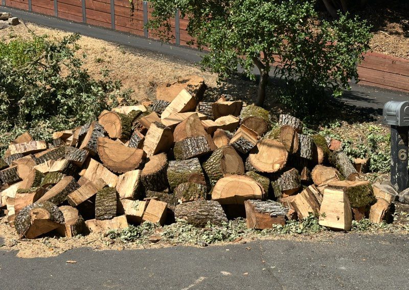 Free Wood Chips and Firewood