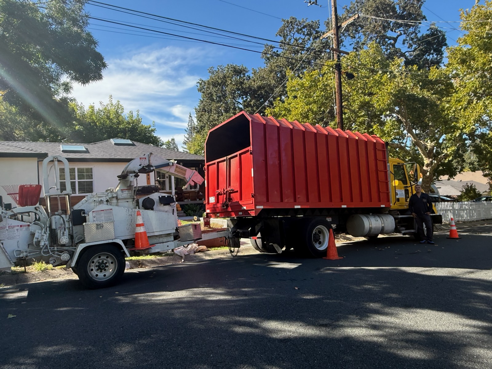 Emergency Tree Removal Service - 24/7 Emergency Tree Service Team