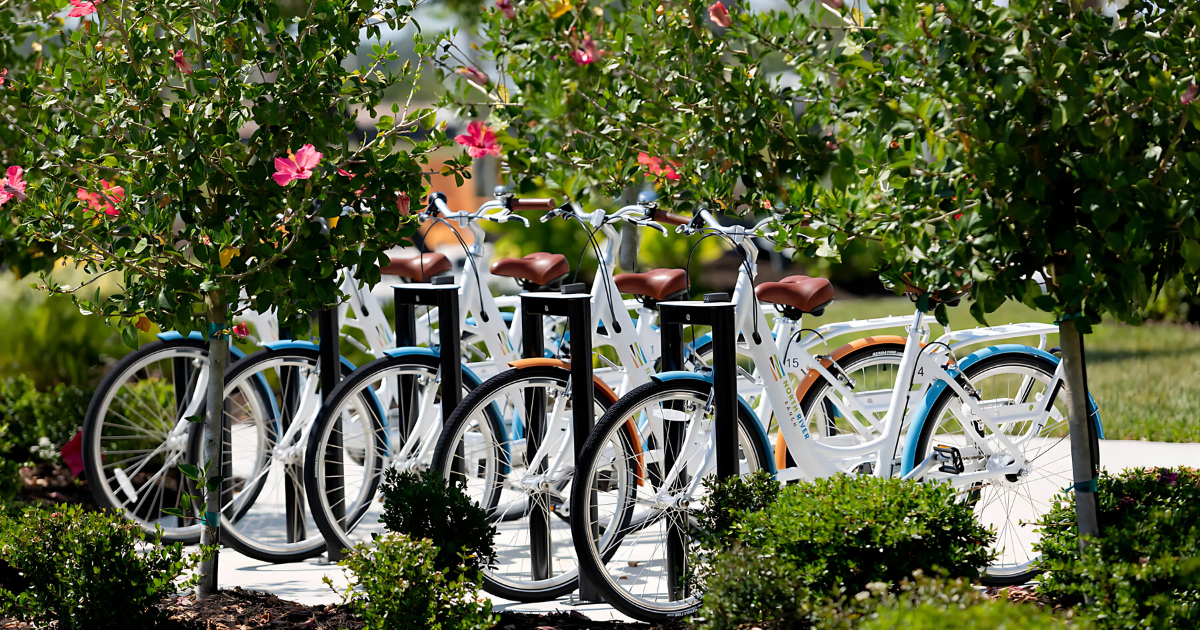 Bike Share Program: A Sustainable Way to Travel Bike Share Program: A Sustainable Way to Travel