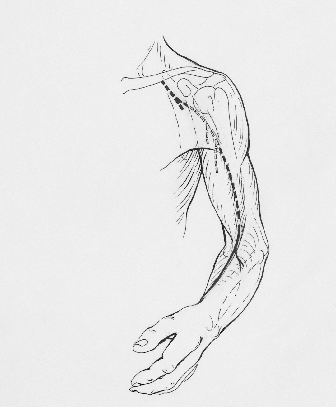 Vagus nerve anatomy showing connection between sound healing and nervous system regulation