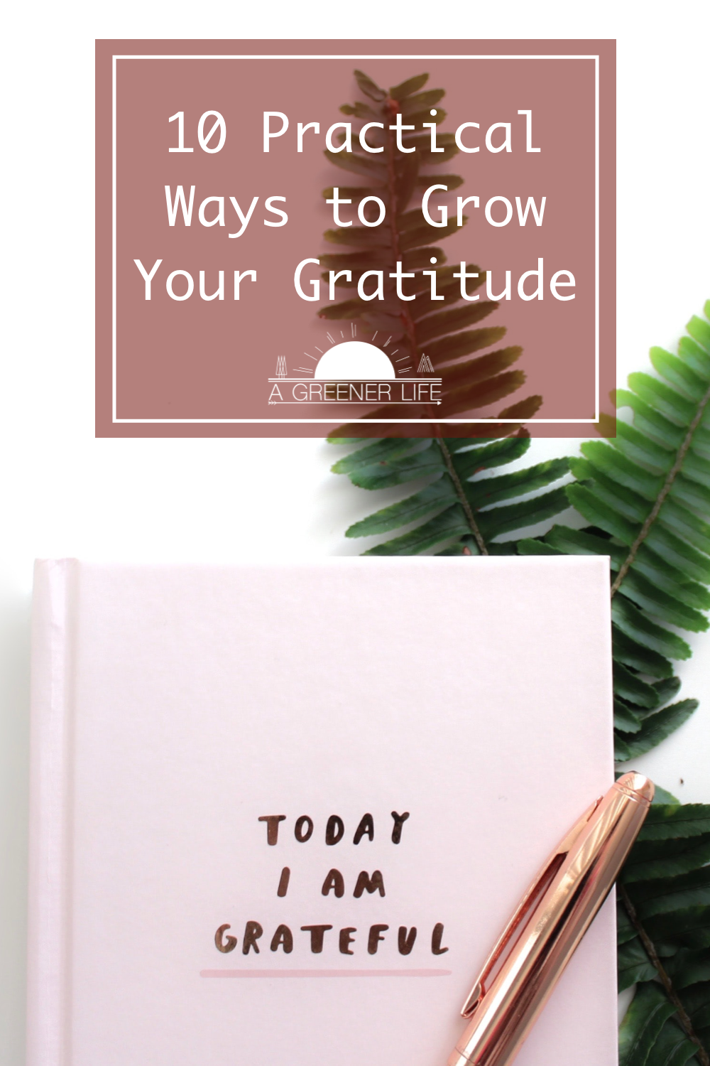 GROW YOUR GRATITUDE