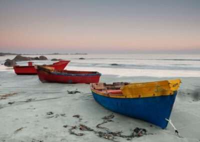 West Coast: Salt & Wildflowers 4×4 Lodge Tour