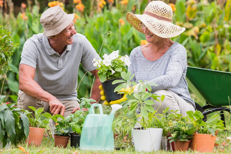 two seniors gardening