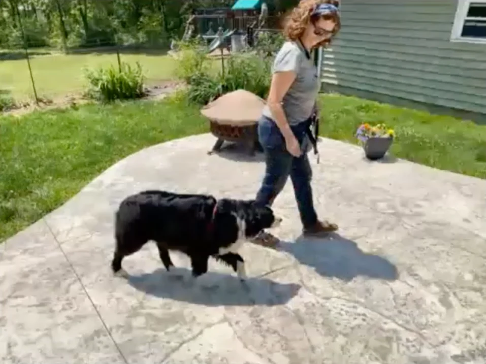 Carmen & Mish training session