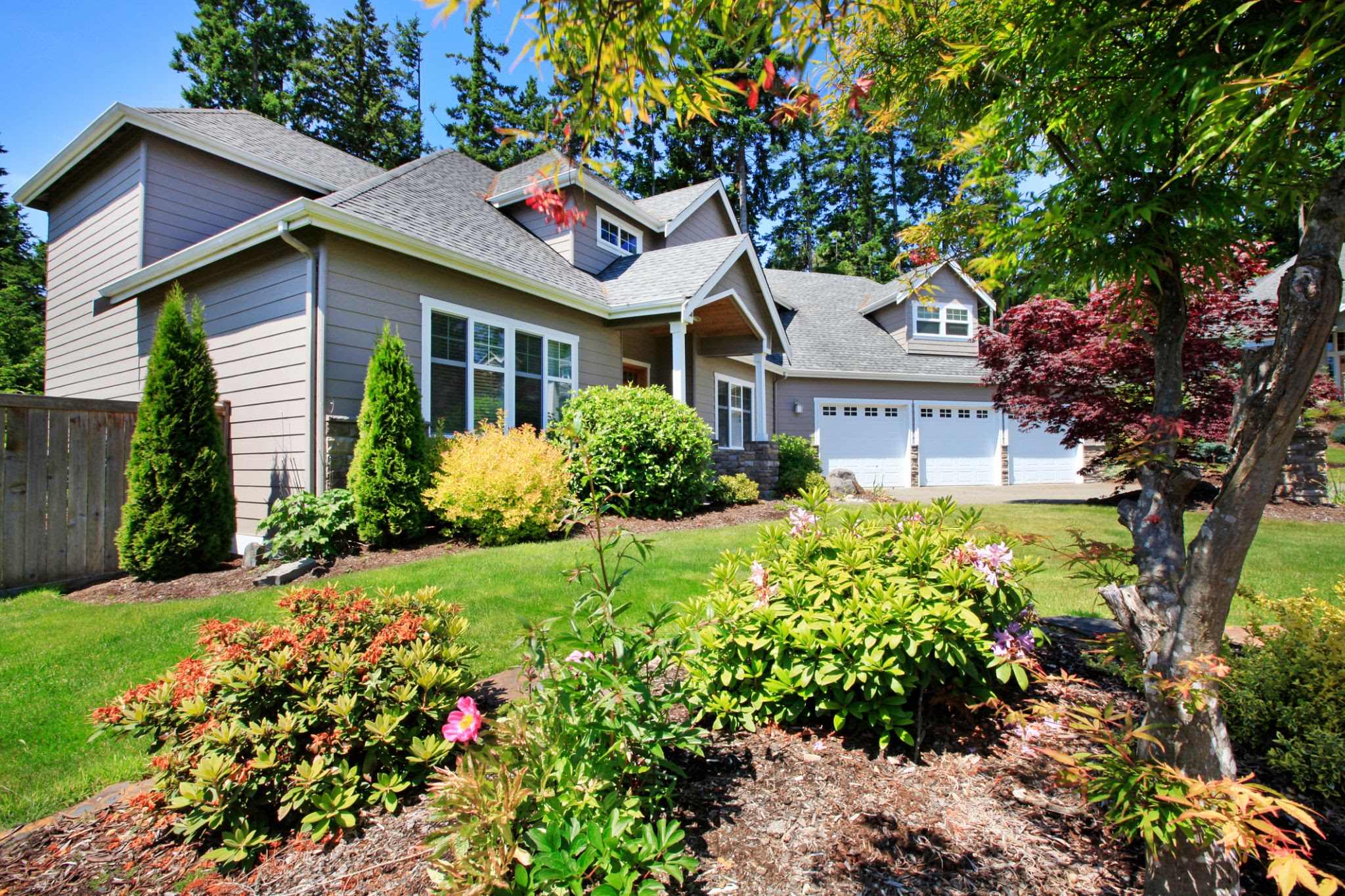 a well landscaped house