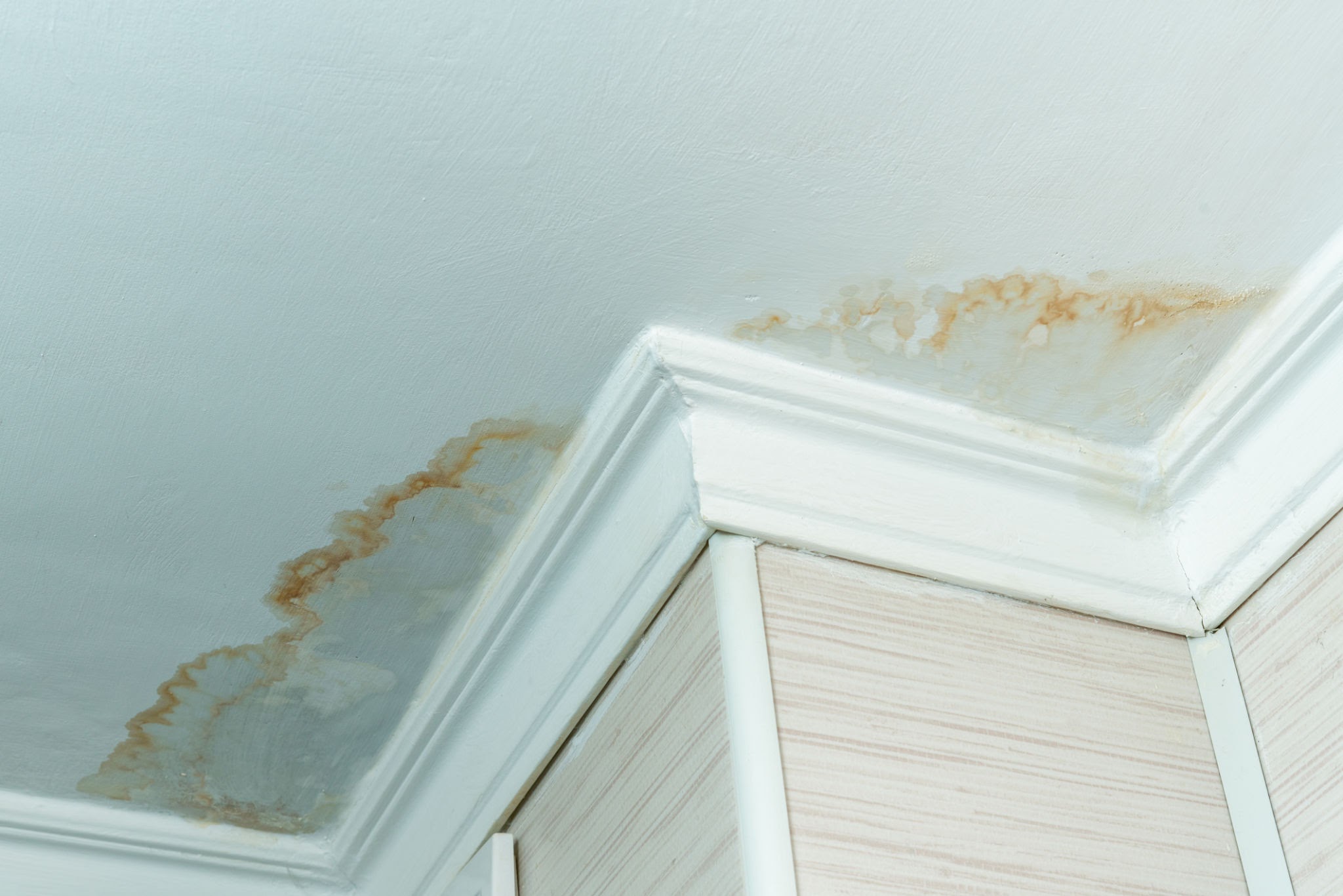 ceiling stain ceiling stain