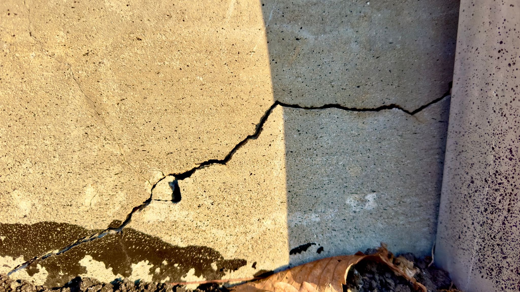 repair needed repair needed