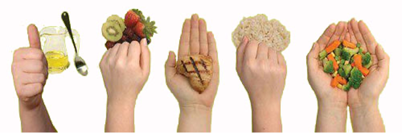 Here are the hand portions with the different sources of food -energy, building and protective food. 