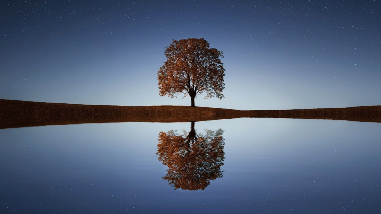 A lake reflects the sky with a tree in the centre